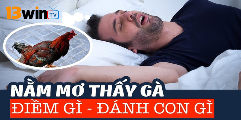 Giấc mơ về gà trống có ý nghĩa gì?