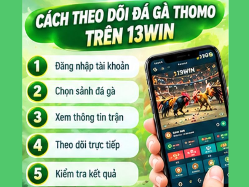 Cách Theo Dõi Đá Gà Thomo 13WIN