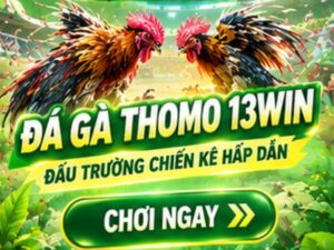 Đá Gà Thomo 13WIN
