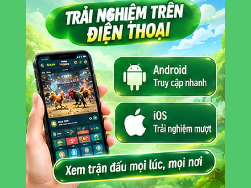Đá Gà Thomo 13WIN Trên Điện Thoại