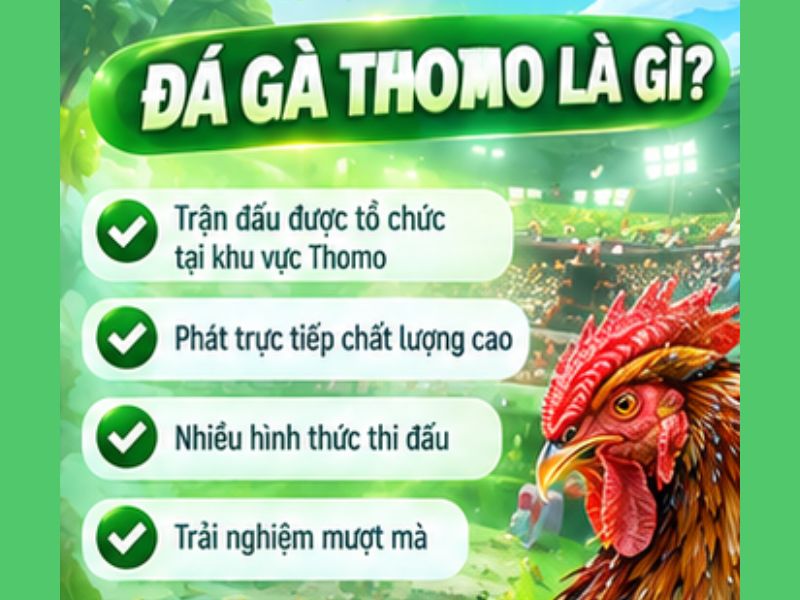 Đá Gà Thomo Là Gì