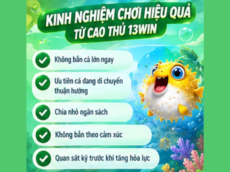 Kinh Nghiệm Bắn Cá H5 13WIN Dành Cho Tân Thủ